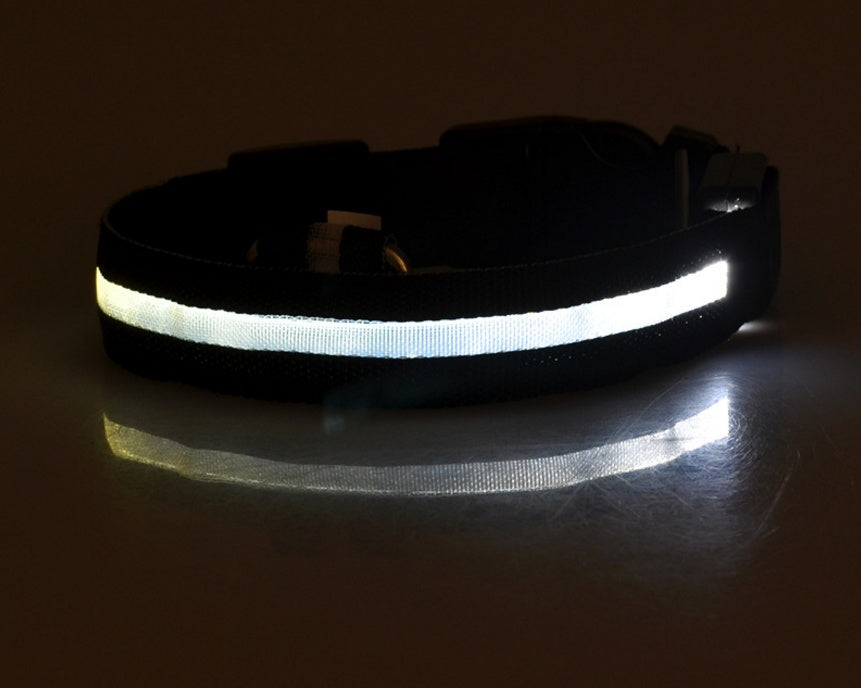 Glow-in-the-Dark LED Dog Collar – Reflective Night Safety Leash for Dogs & Cats