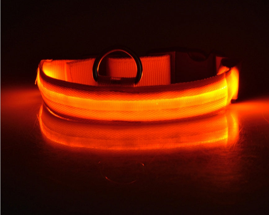 Glow-in-the-Dark LED Dog Collar – Reflective Night Safety Leash for Dogs & Cats