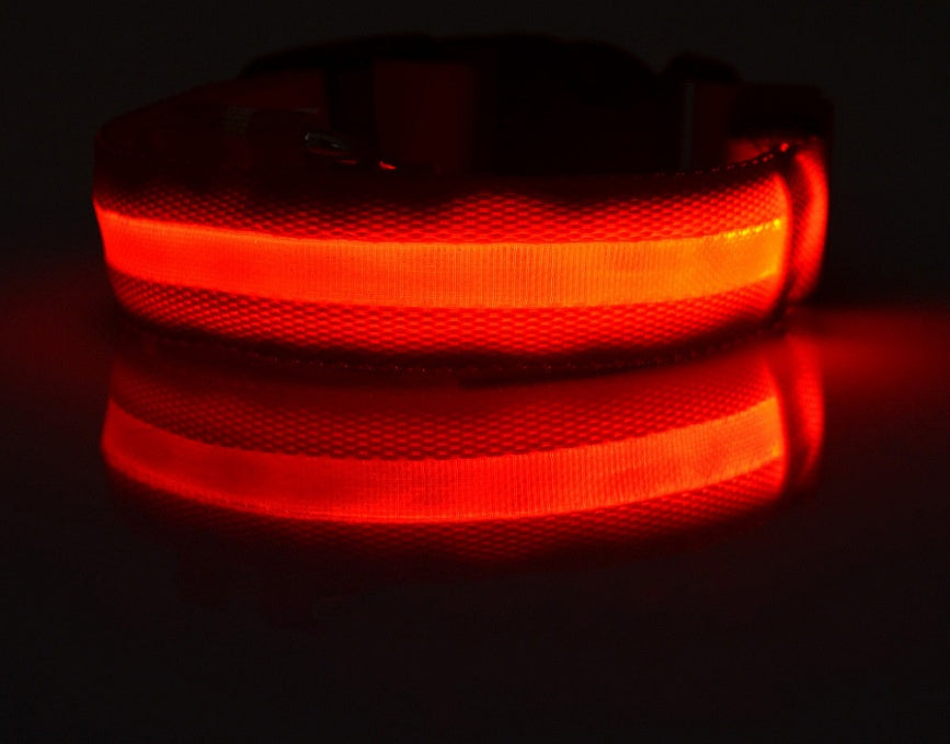 Glow-in-the-Dark LED Dog Collar – Reflective Night Safety Leash for Dogs & Cats