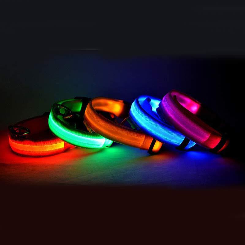Glow-in-the-Dark LED Dog Collar – Reflective Night Safety Leash for Dogs & Cats