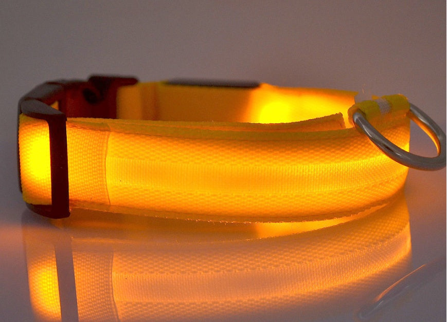 Glow-in-the-Dark LED Dog Collar – Reflective Night Safety Leash for Dogs & Cats