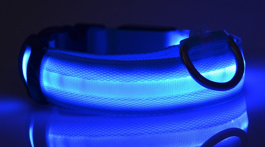 Glow-in-the-Dark LED Dog Collar – Reflective Night Safety Leash for Dogs & Cats
