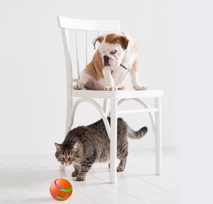 Self-Rotating Cat Toy Ball - USB-Powered Automatic Fun for Cats