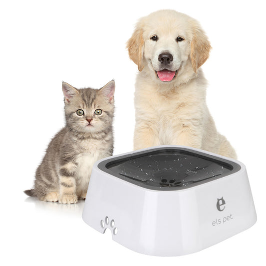 Cat Dog Water Bowl